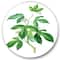 Designart - Vintage Green Leaves Plants V - Traditional Metal Circle Wall Art